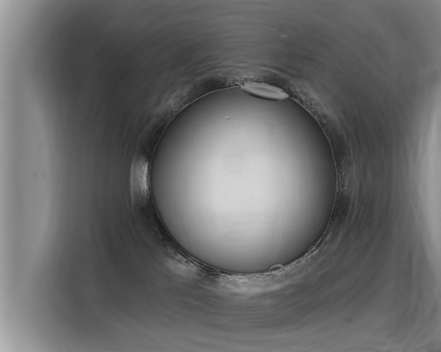 X0000116040041200911271207