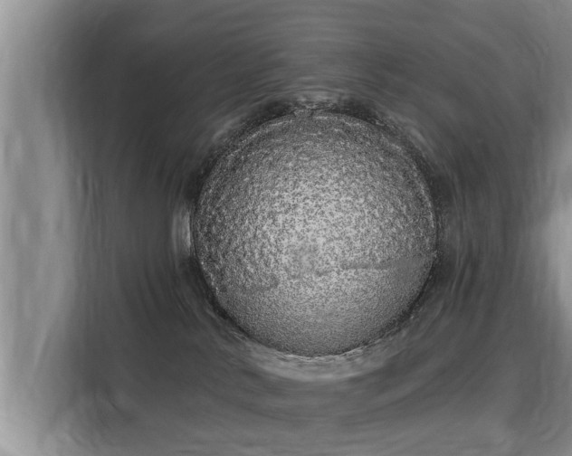 X0000116040042200911271207