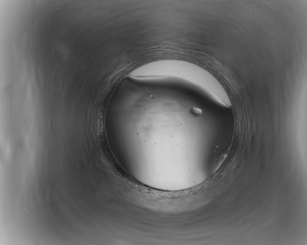 X0000116040043200911271207