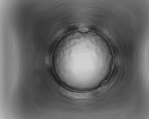 X0000116040044200911271207