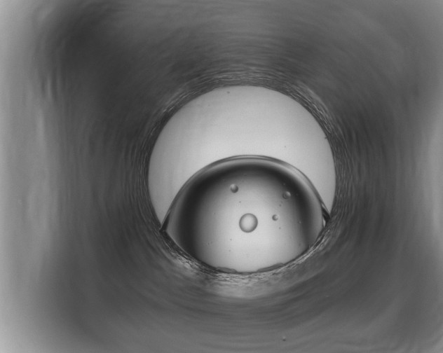 X0000116040045200911271207