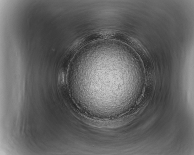 X0000116040046200911271207