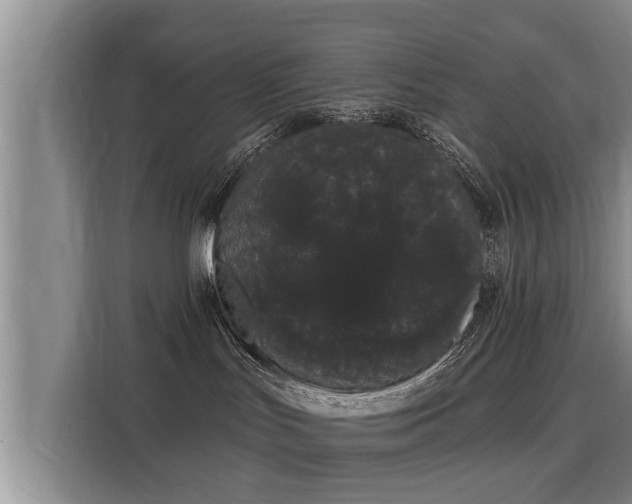 X0000116040047200911271207