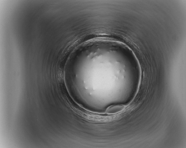 X0000116040048200911271207