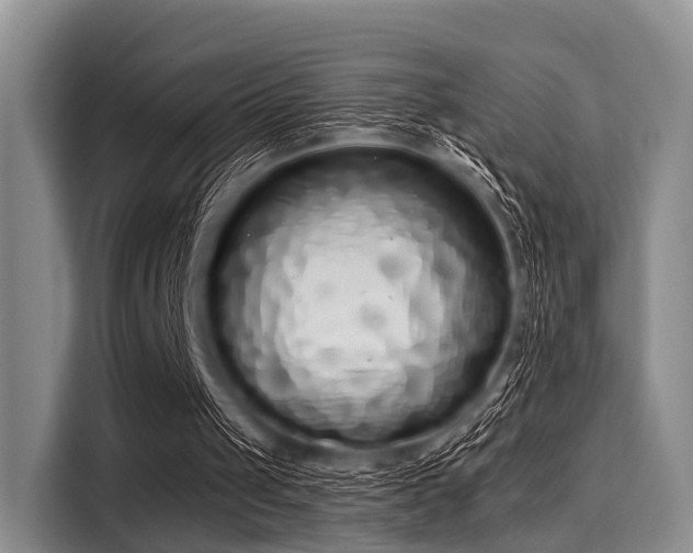 X0000116040049200911271206