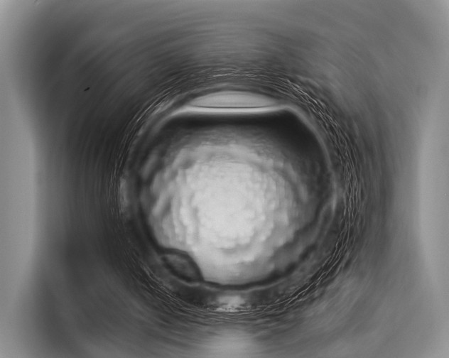 X0000116040050200911271206