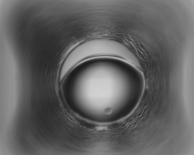 X0000116040052200911271206