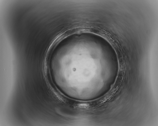 X0000116040053200911271206