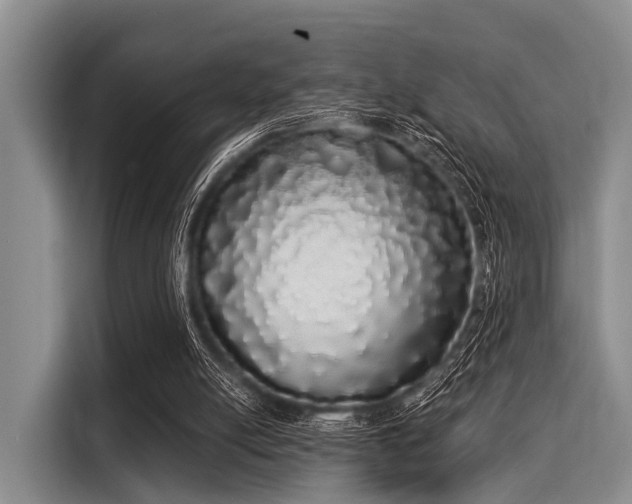 X0000116040054200911271206