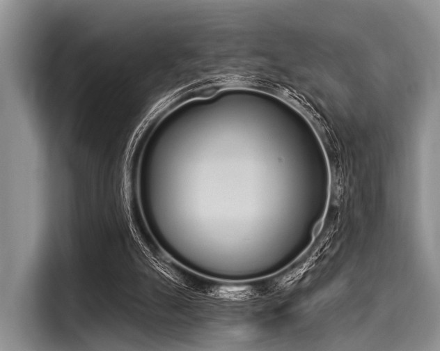 X0000116040055200911271206