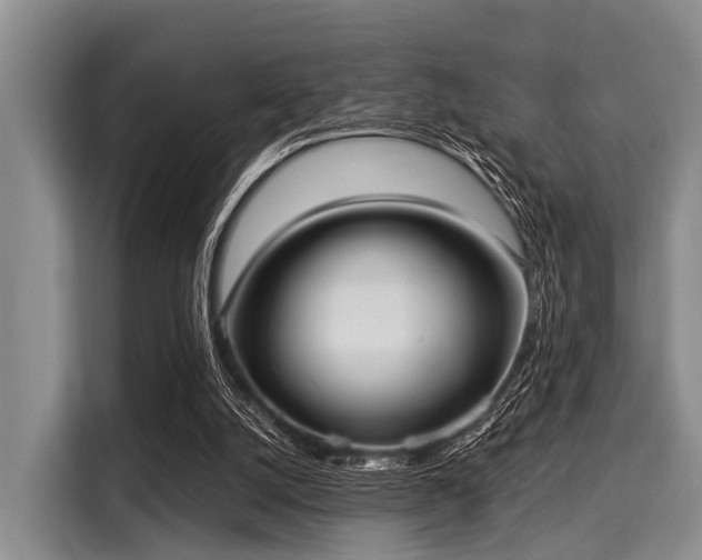 X0000116040056200911271206