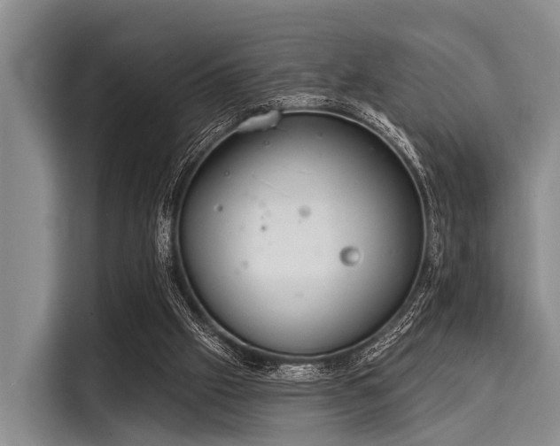 X0000116040057200911271206