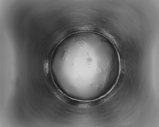 X0000116040061200911271206