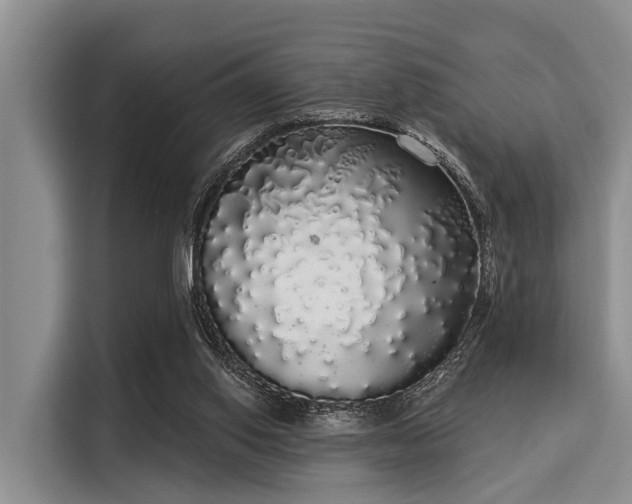 X0000116040062200911271206