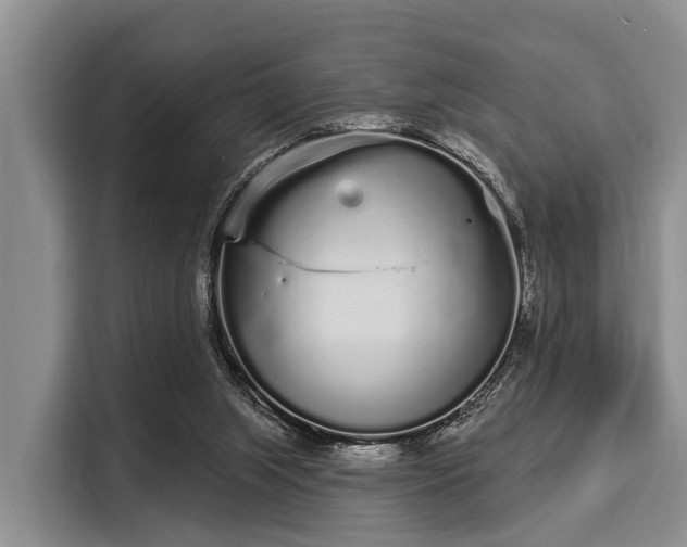 X0000116040063200911271206