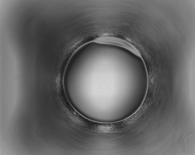 X0000116040066200911271206