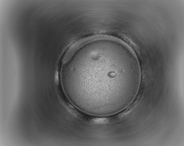 X0000116040067200911271206