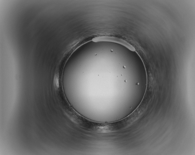 X0000116040068200911271206