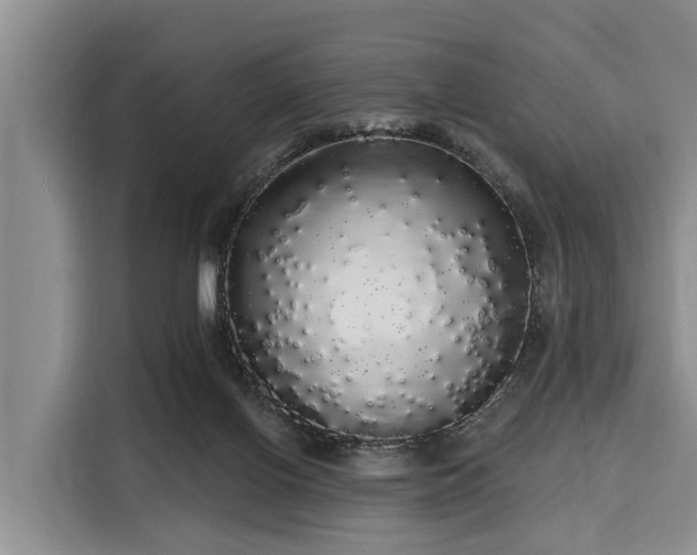 X0000116040070200911271206