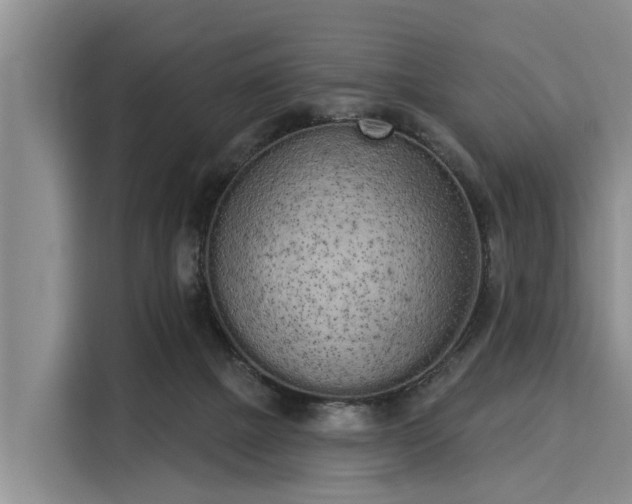 X0000116040073200911271206