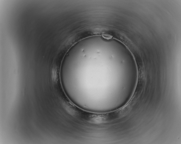 X0000116040074200911271206