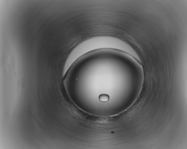 X0000116040076200911271206