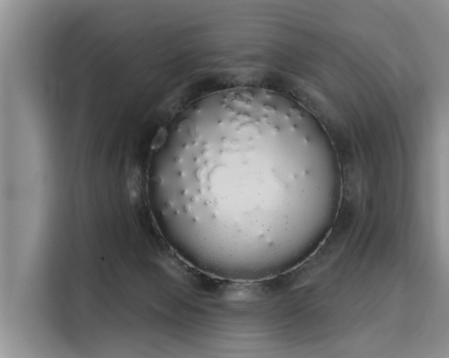 X0000116040077200911271206