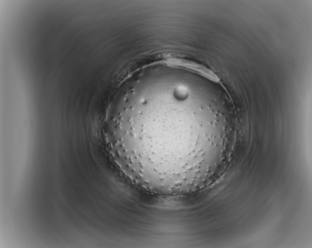 X0000116040078200911271206