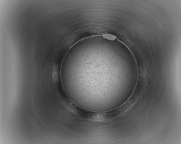 X0000116040080200911271206