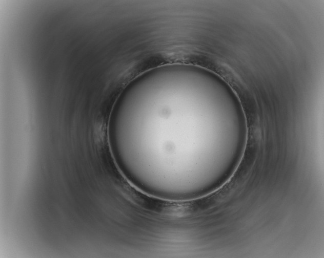 X0000116040081200911271206