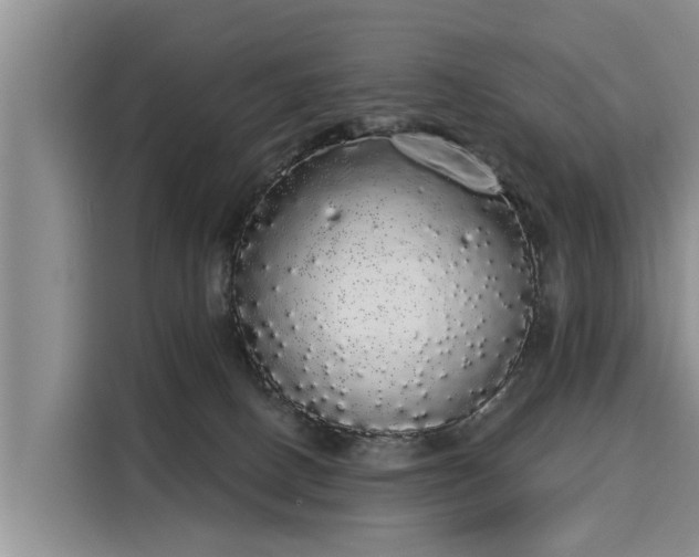 X0000116040082200911271206