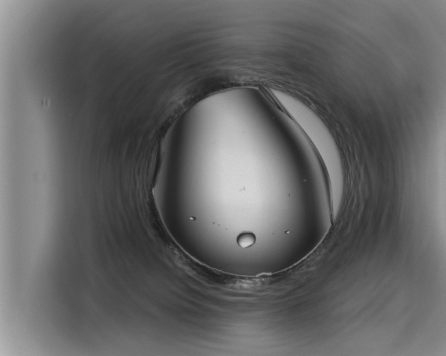 X0000116040084200911271206