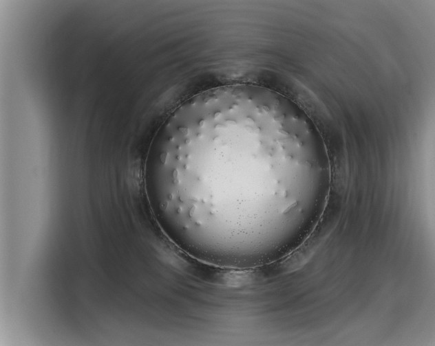 X0000116040085200911271206