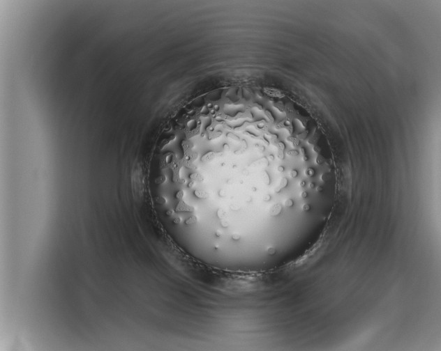 X0000116040086200911271206