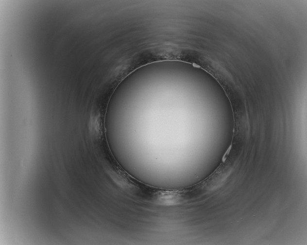 X0000116040088200911271206