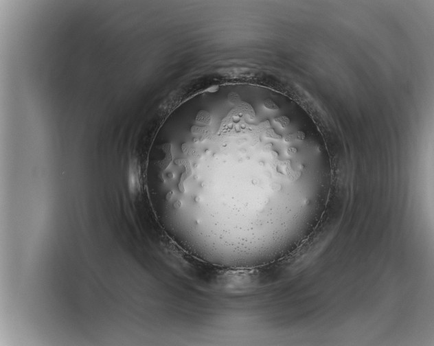 X0000116040089200911271206