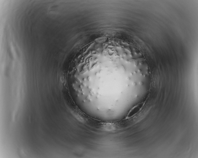 X0000116040091200911271207