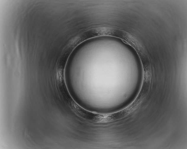 X0000116040093200911271207