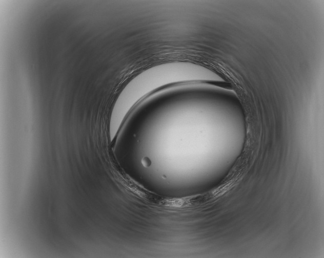 X0000116040096200911271207