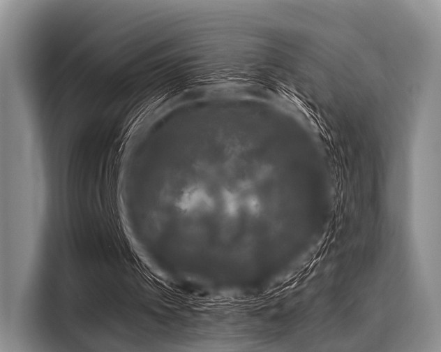 X0000116040097200911271206