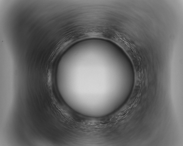 X0000116040098200911271206