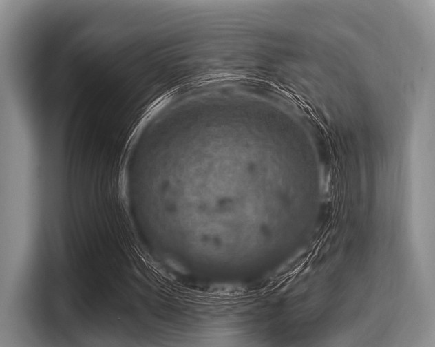 X0000116040099200911271206