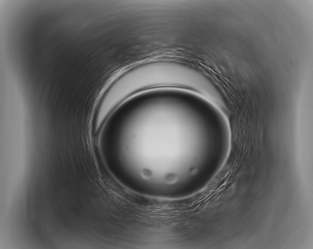 X0000116040100200911271206