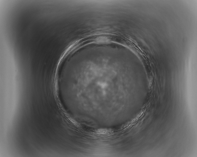 X0000116040101200911271206