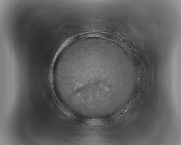 X0000116040102200911271206