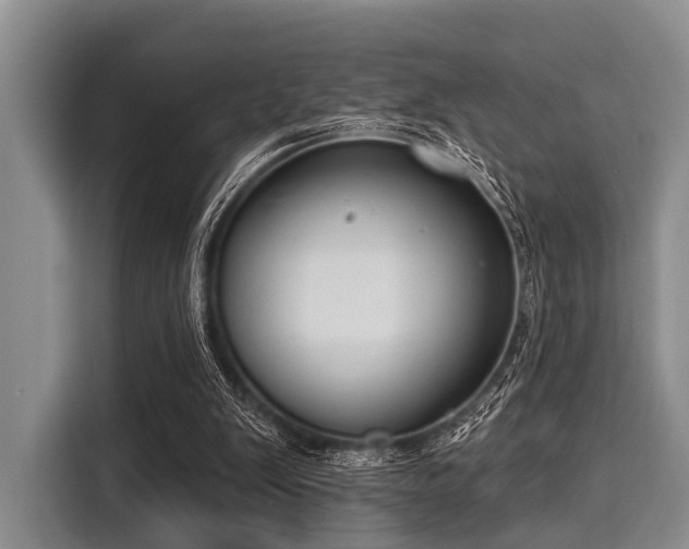 X0000116040103200911271206