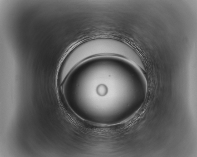 X0000116040104200911271206