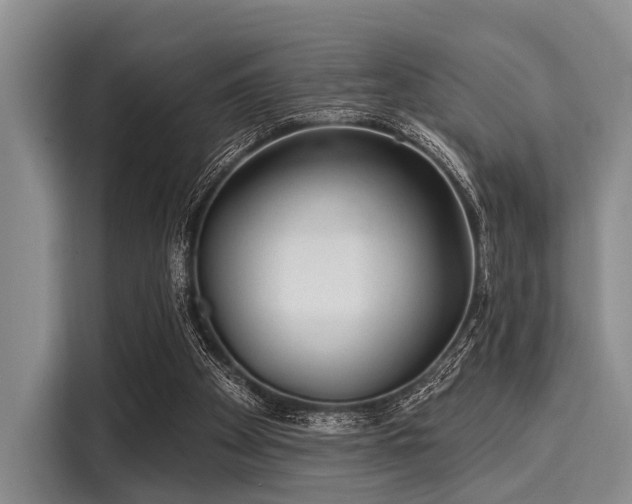 X0000116040105200911271206