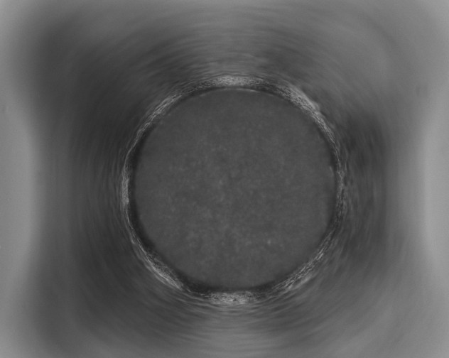 X0000116040106200911271206