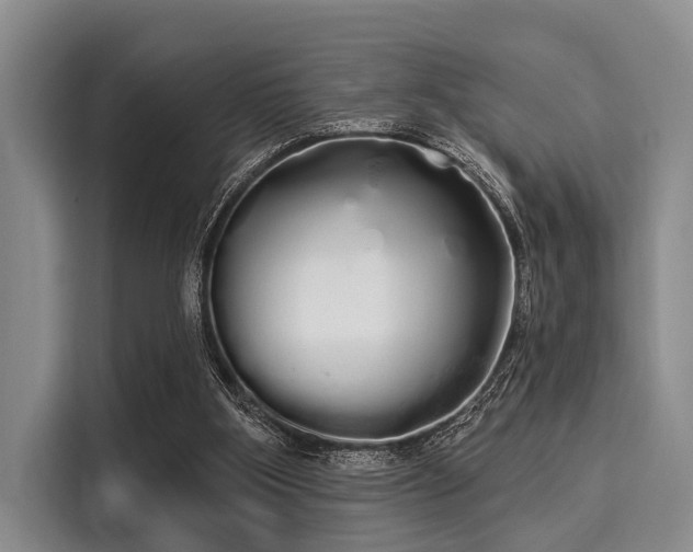 X0000116040107200911271206